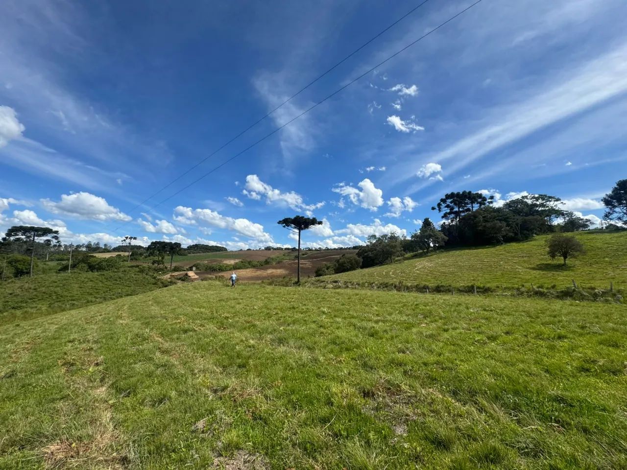 Terreno, otimo, muito bem localizado e apto para qualquer tipo de negócio 