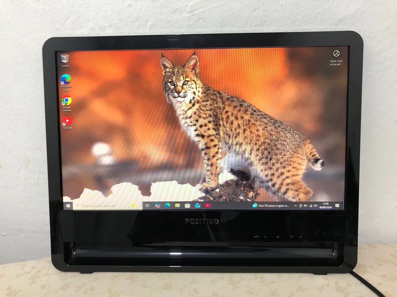Monitor positivo 18.5 com áudio 