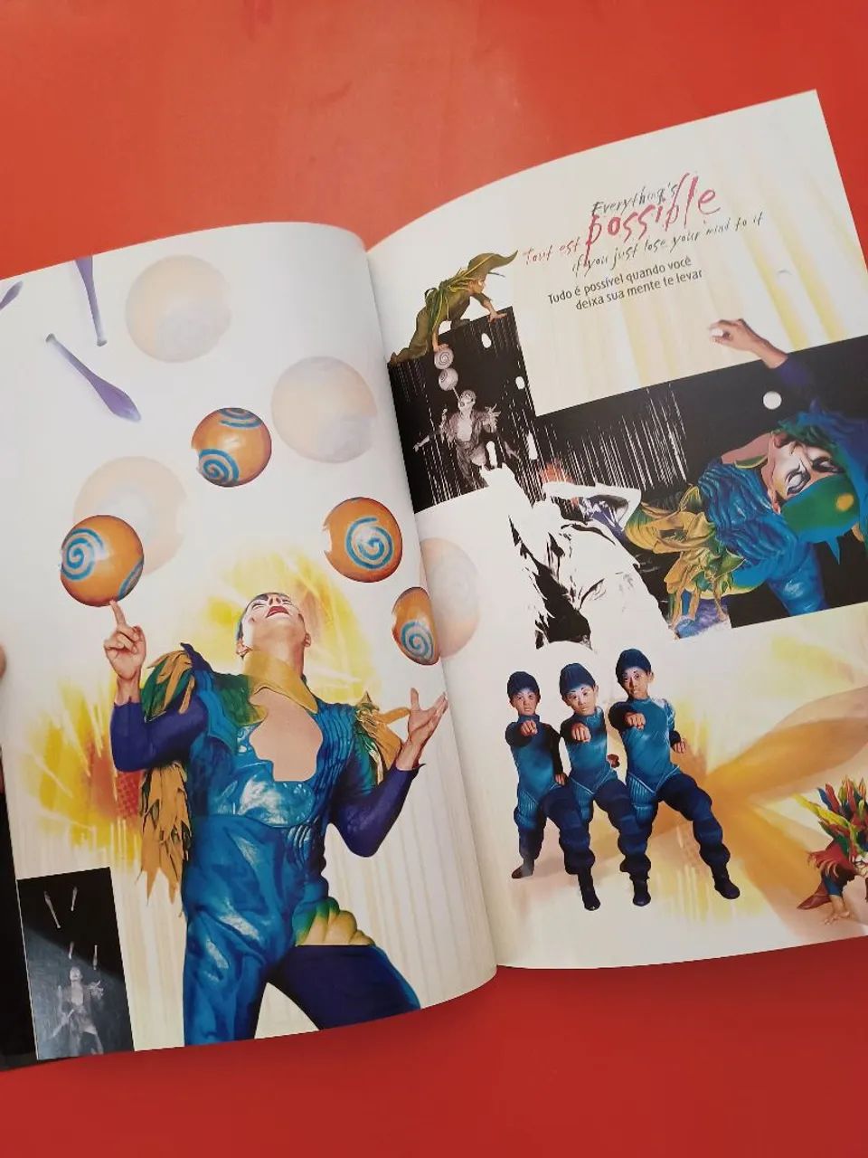Programa Oficial Cirque Du Soleil Varekai Novíssimo  - Foto 5