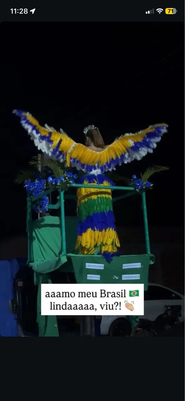 VENDO VESTIDO DE PENAS - DESFILE - Foto 4