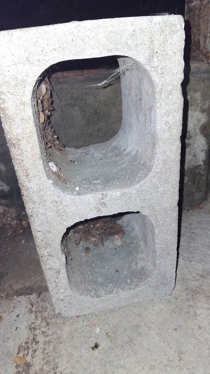 Blocos de concreto com dois furos 19×19×39 - Foto 5