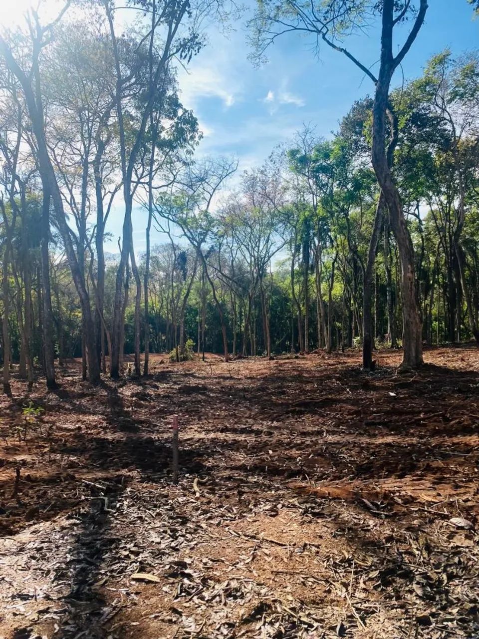 Chacaras em mateus leme  - Foto 4