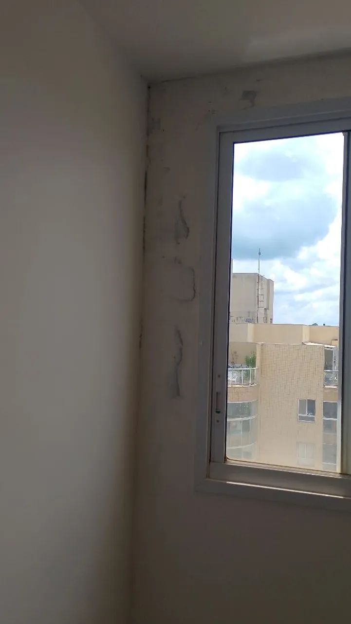 Pintor em geral  - Foto 4