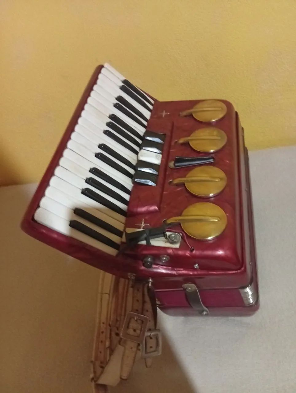 Acordeon - Foto 3