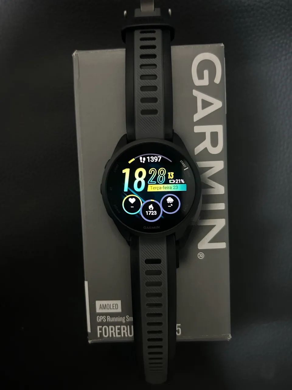 Garmin 165