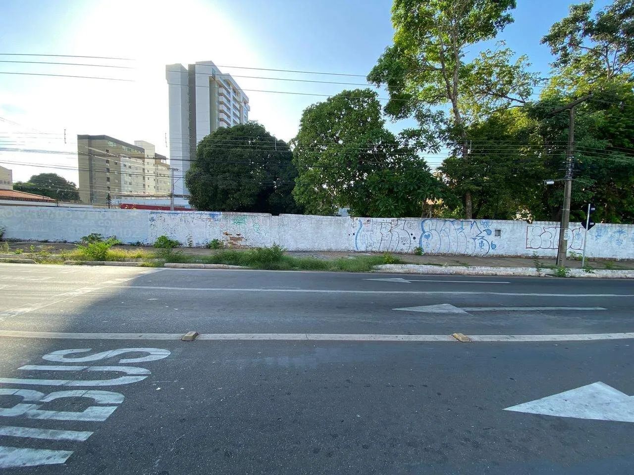 Terreno Para Aluguel - Foto 3