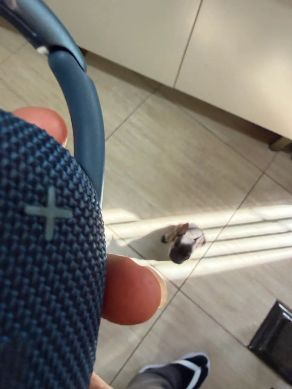 Caixinha JBL FLIP4 - Foto 3