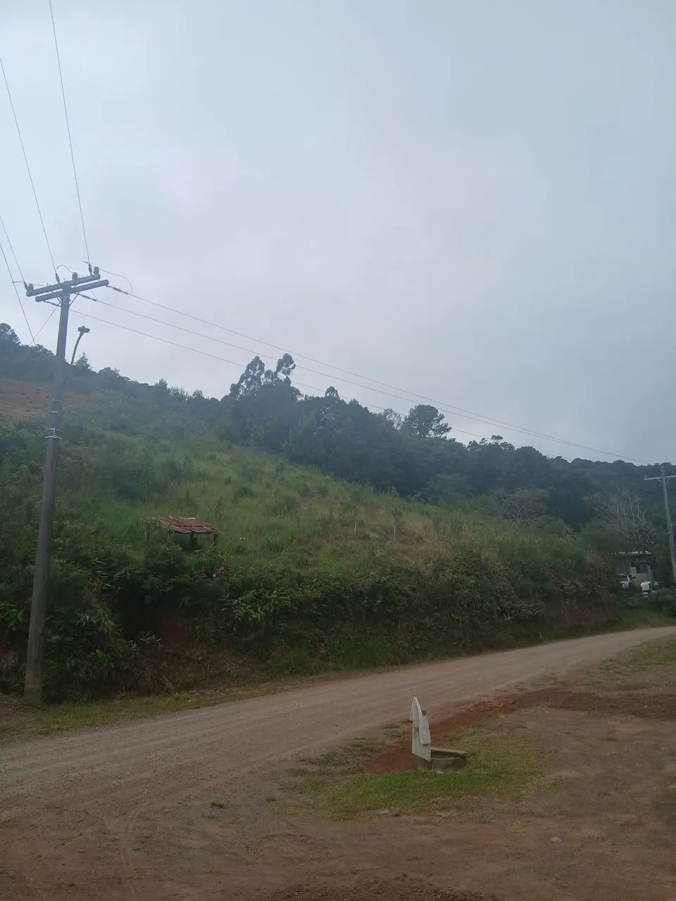 Área de Terra - Foto 4
