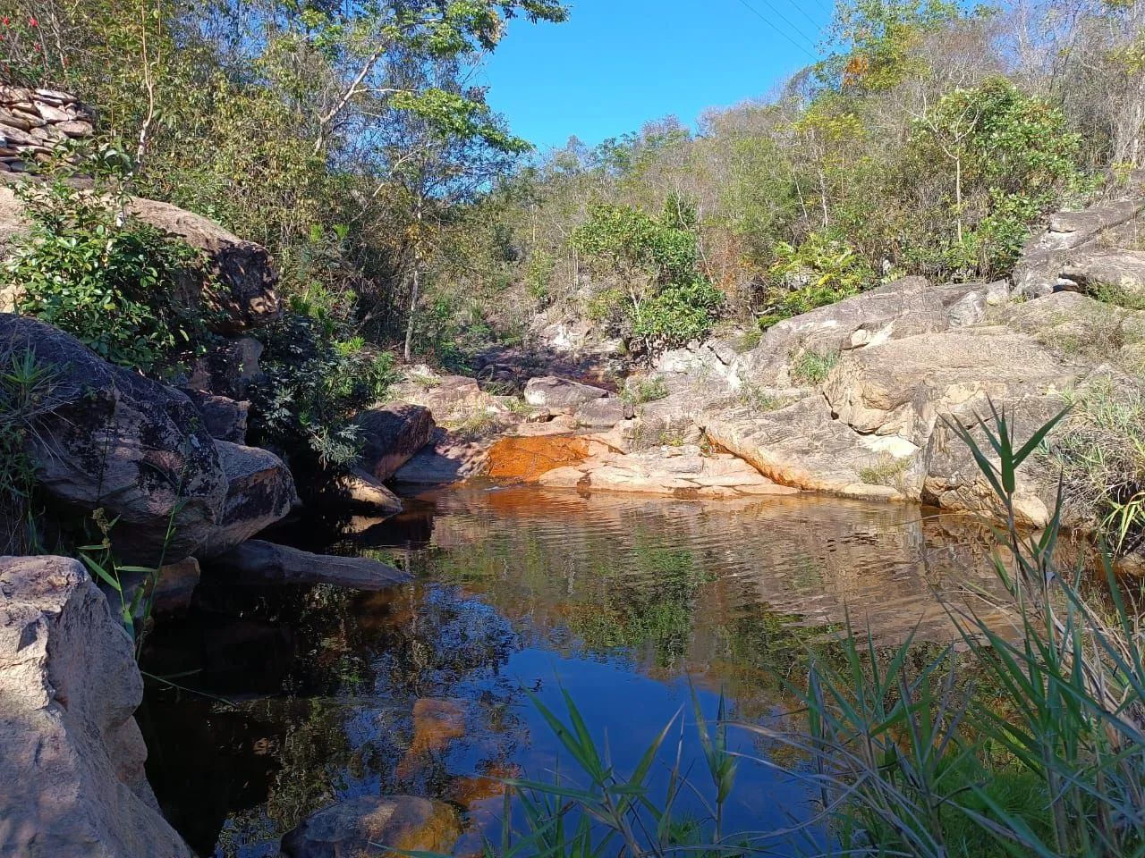 Terreno em Campos de São João  - Foto 4