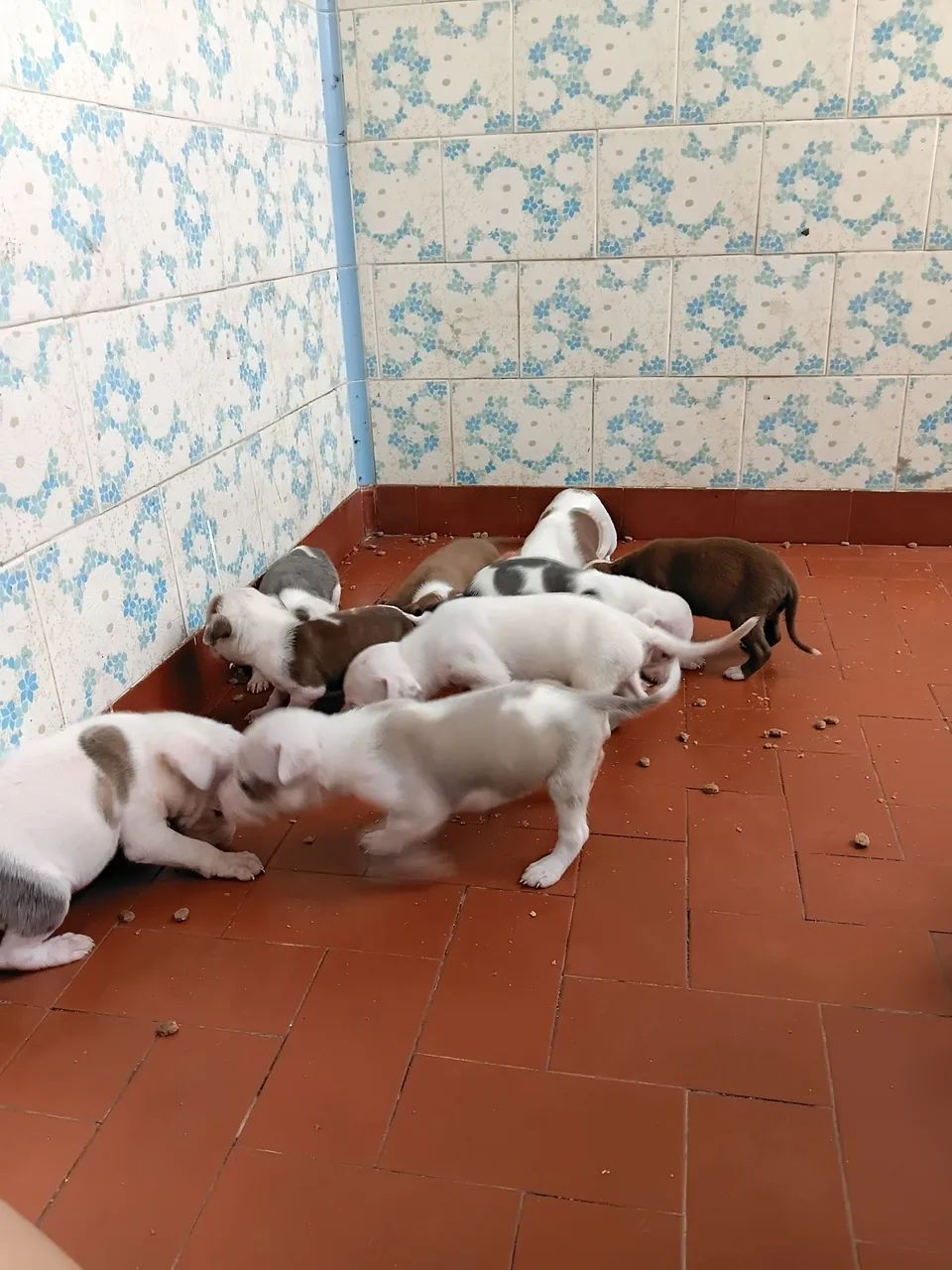 Doação 