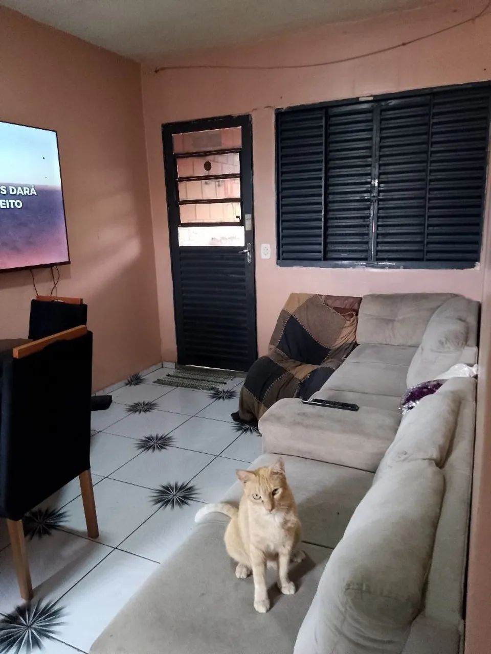 Apartamento  - Foto 5
