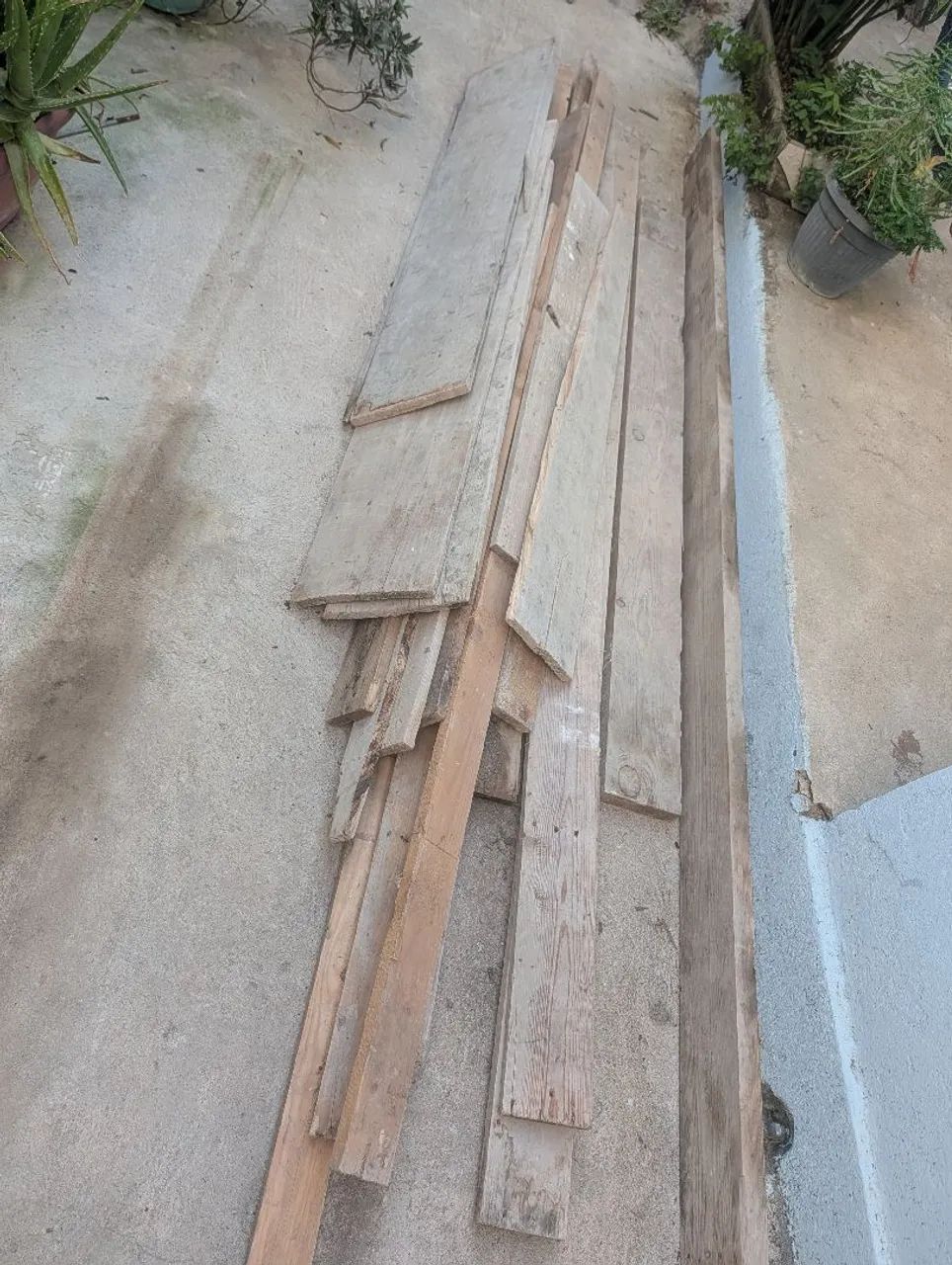 Madeiras de Pinhos - Foto 4