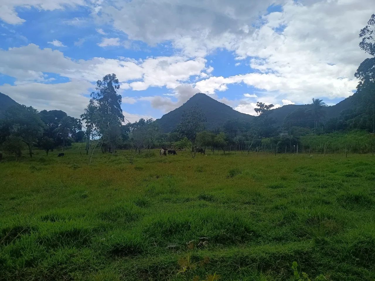 QUADRA A VENDA! - Foto 2