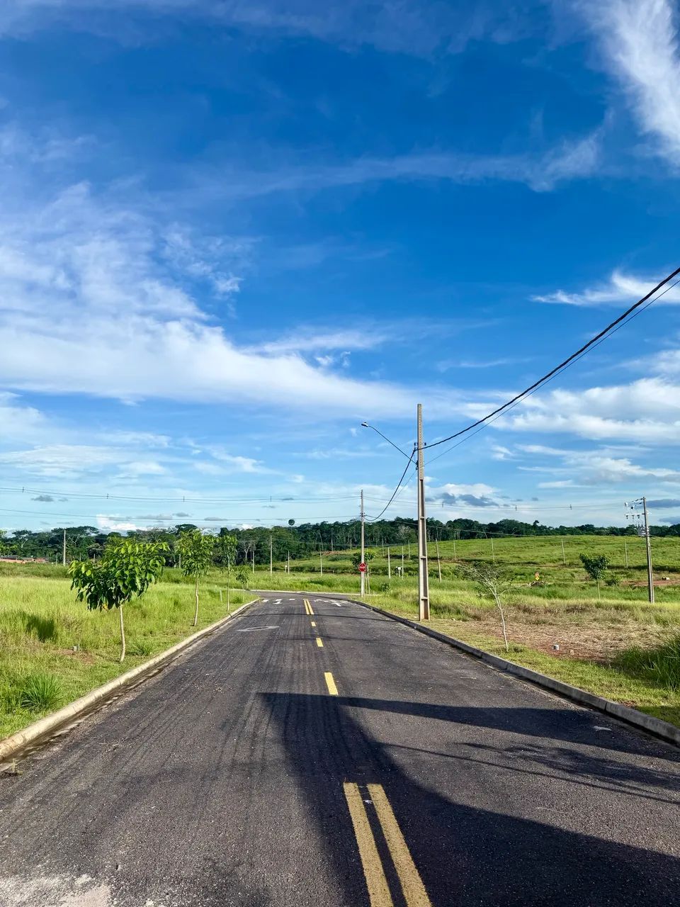 Terreno Bosque Primavera - Estrada Dias Martins - Foto 3