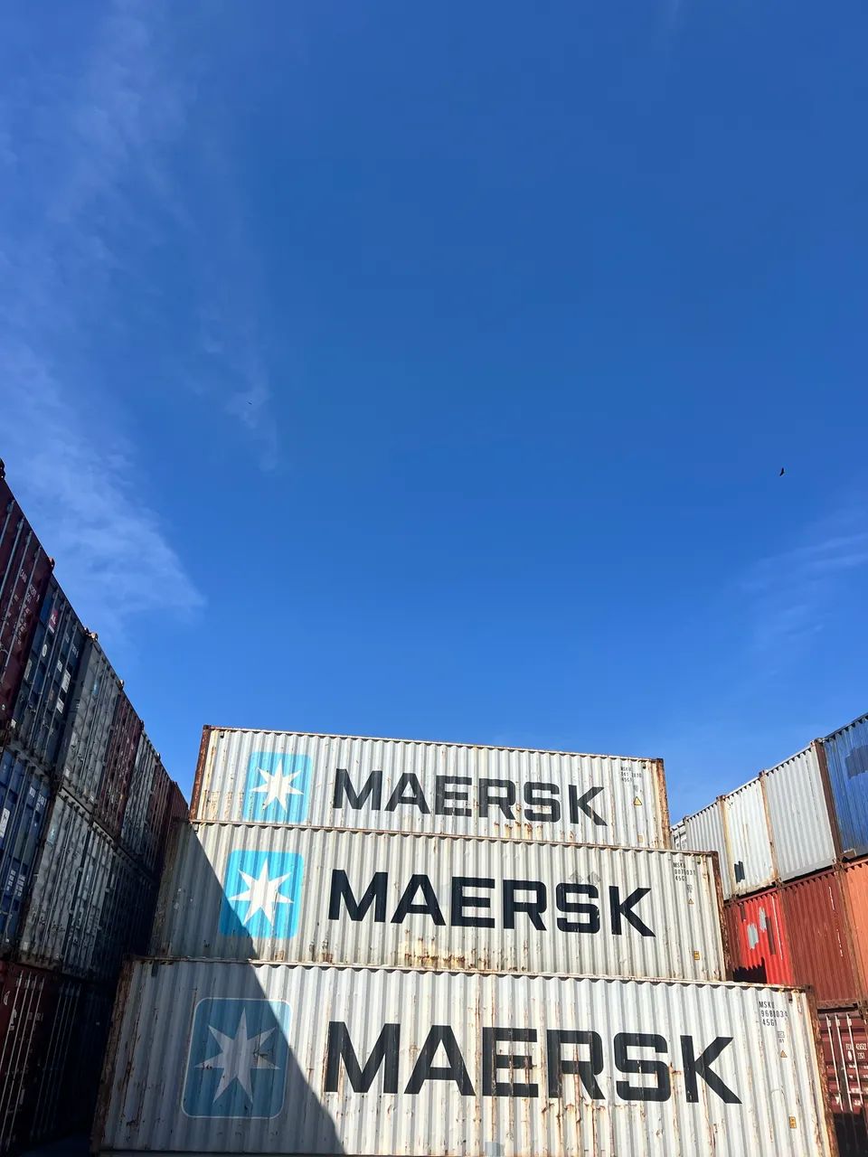 Container, variáveis tamanhos  - Foto 3
