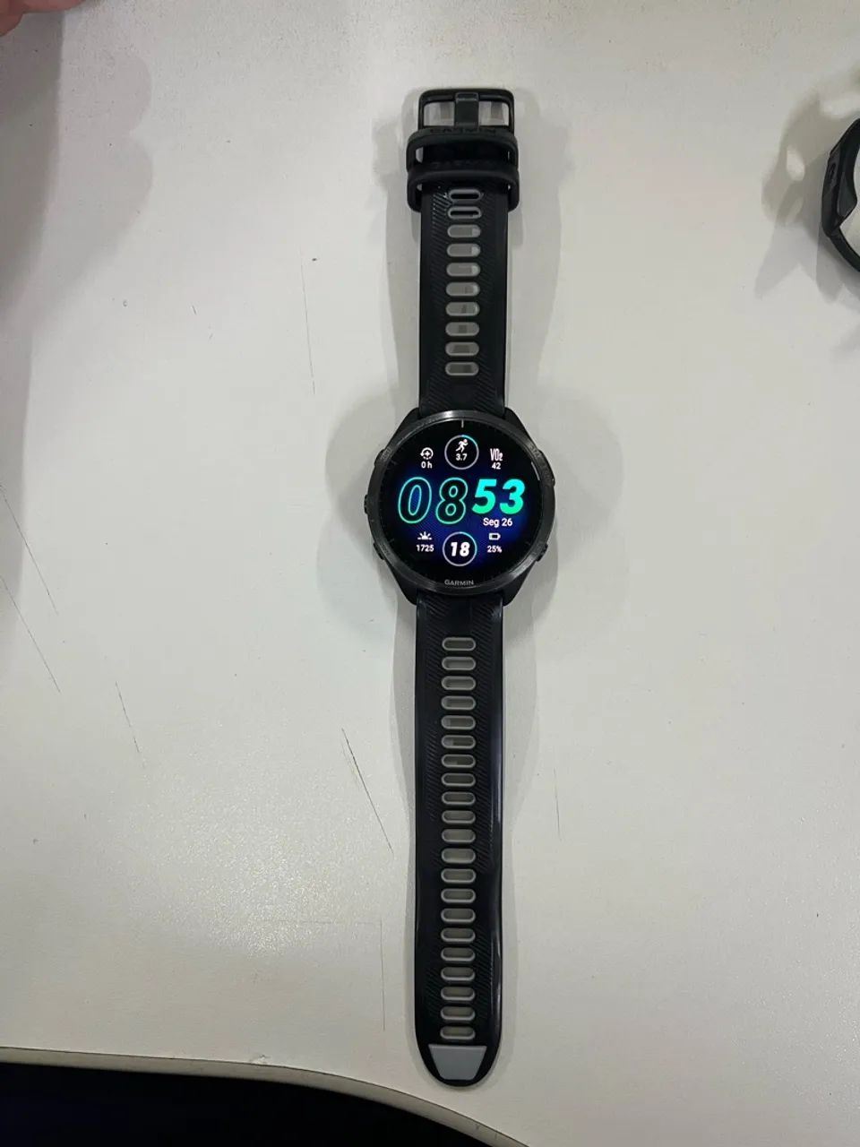 Forerruner 965 