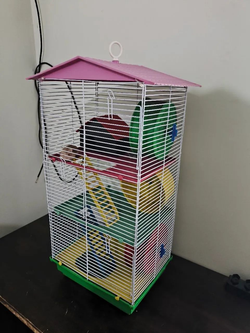 Hamster + casinha ! - Foto 3