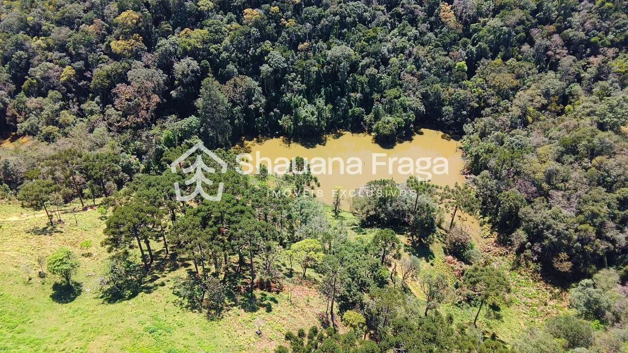 Rancho Queimado/SC - Sítio à Venda - Pinheiral - Foto 4