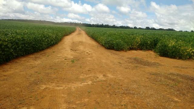 Fazenda 1.408 Hectares Municipio Cristalina Goias - Foto 9