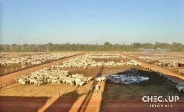 Fazenda à venda, 11.829 ha por R$ 500.000.000 - Zona Rural - Jussara/GO - Foto 7