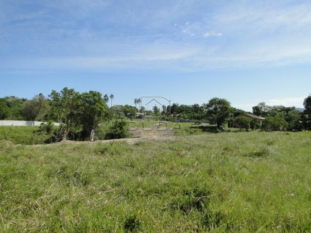 Terreno à venda em Praia do lessa, Imarui cod:30084 - Foto 16