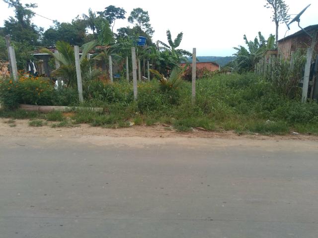 Terreno - Foto 3
