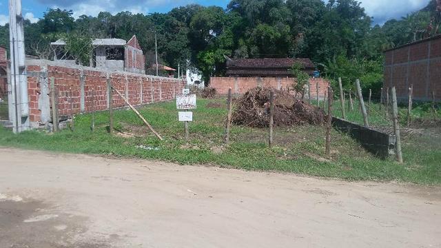 Venda - Foto 3