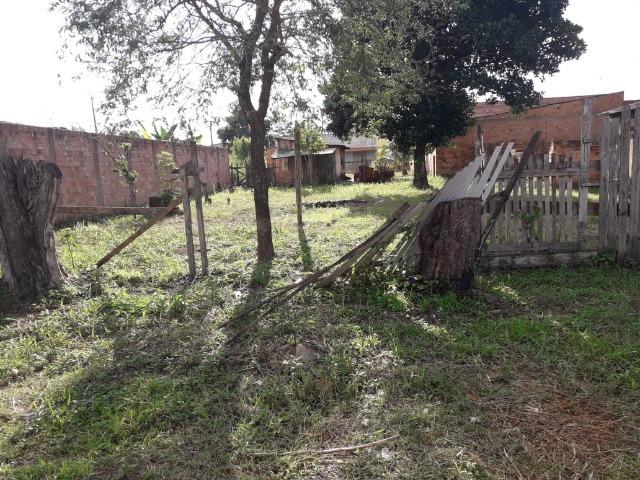 Terreno no bairro São Francisco 20.000 aceito propostas - Foto 6
