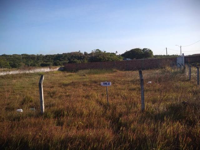 Vendo terreno no panaquatira Ribamar - Foto 4