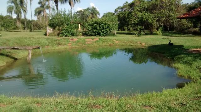Fazenda de 4 alqueires para pecuária a venda na região de Caldas Novas GO - Foto 11