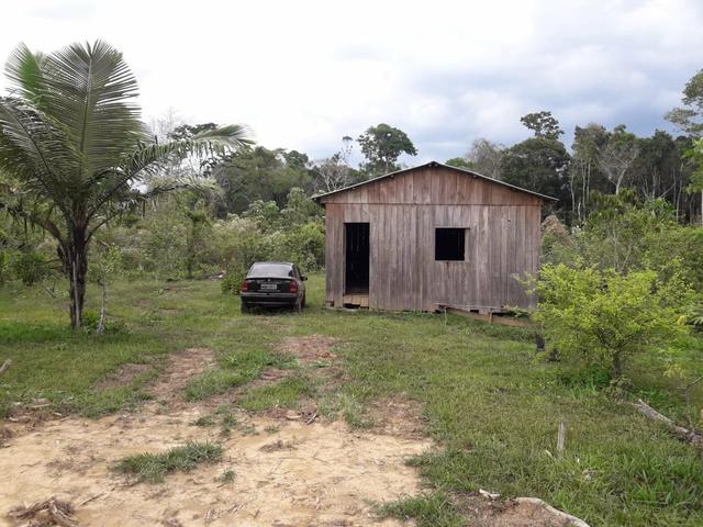 Sítio (vendo, ou troco por carro)