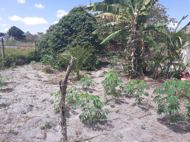 Terreno muito barato 10,000 - Foto 3