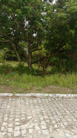 Terreno em Arembepe - Foto 4
