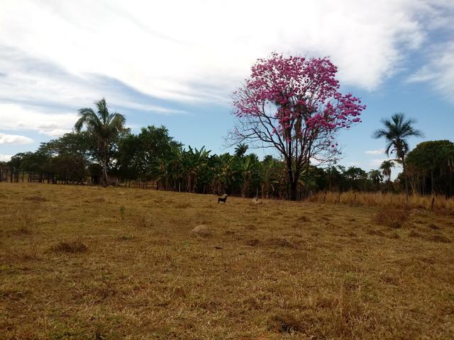 Chácara 30mts por 180 mts - Foto 17