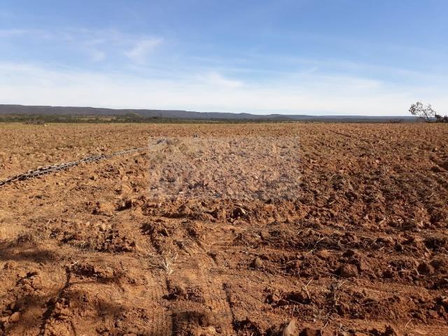 Fazenda no Mato Grosso 5.276 ha venda total - parcial ou permuta - Foto 8