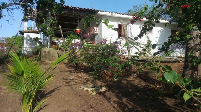 Granja/sitio 3,5 hect - Foto 3