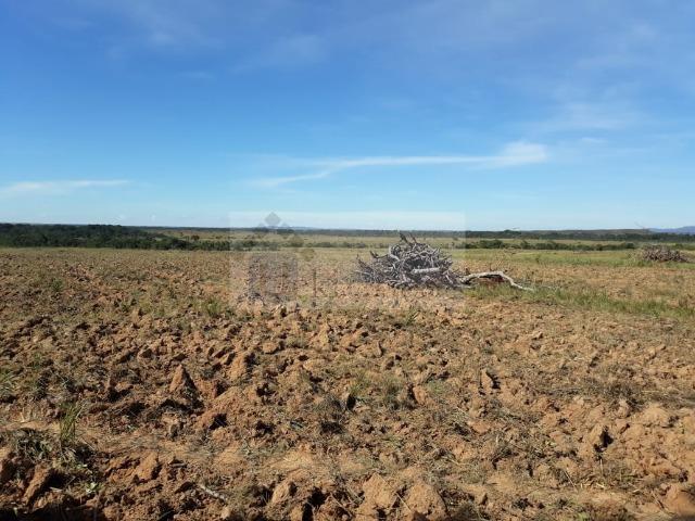 Fazenda no Mato Grosso 5.276 ha venda total - parcial ou permuta - Foto 5