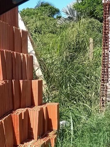 Terreno na Ogiva - Foto 8