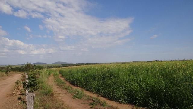 Fazenda em chapada com 970 hectares sendo 300 plantando - Foto 8
