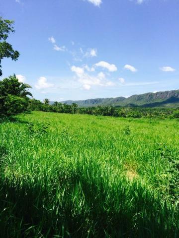Fazenda em Rosário Oeste-MT 457 hectares boa de argila - Foto 3