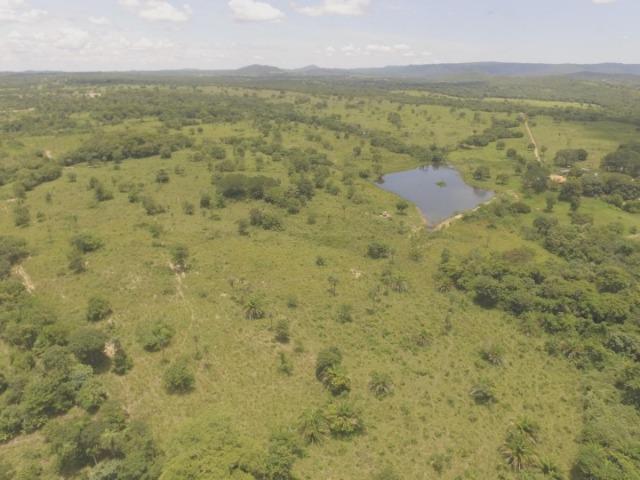 Fazenda em Acorizal MT/ 162 hectares sendo 150 formado - Foto 7
