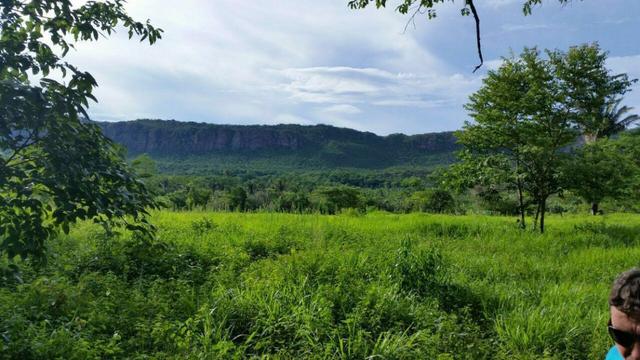Fazenda em Rosário Oeste-MT 457 hectares boa de argila - Foto 11