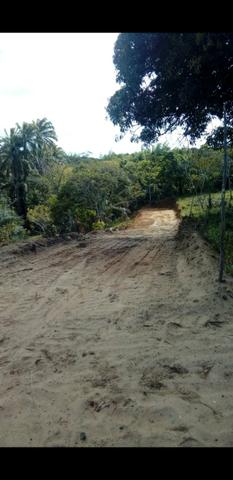 Ilha de Itaparica - Foto 4