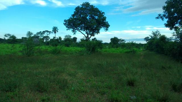 Fazenda 320 ha 100 km de Cuiaba - Foto 10