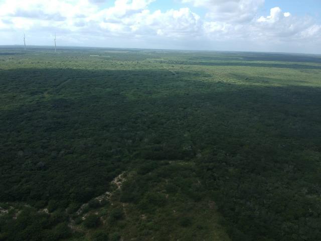 Terreno plano de 15 hectares à 4 km do centro - Foto 3