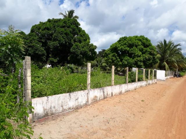 Sítio com 2 hectares - Todo irrigado e produzindo - Foto 3