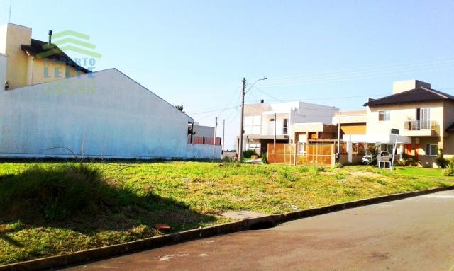 Terreno, Protásio Alves, Porto Alegre-RS - Foto 5