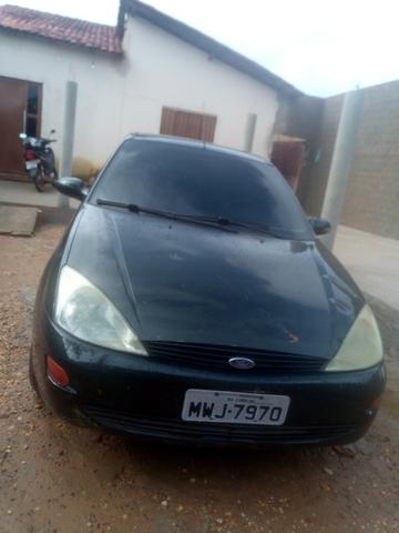 Focus - Foto 2