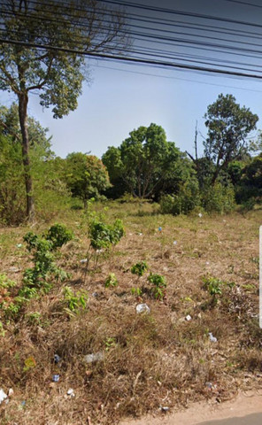 Terreno na Estrada de Ribamar 15x30 Parcelamento - Foto 2