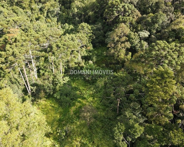 Ampla Área de Terreno à Venda na Região do Alpes de Campos do Jordão - Campos do Jordão/SP - Foto 8